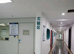 湖南去医院如何做亲子鉴定，湖南医院做亲子鉴定是多少钱啊